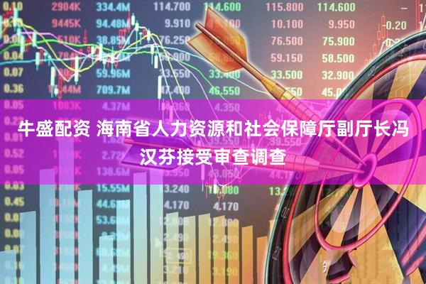牛盛配资 海南省人力资源和社会保障厅副厅长冯汉芬接受审查调查